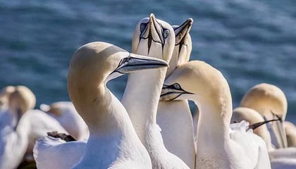 博尔塔拉蒙古高价上海医保提取2025的最新政策(2025年博尔塔拉蒙古上海医保怎么提取现金分享)